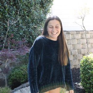 Max studio velvet sweater